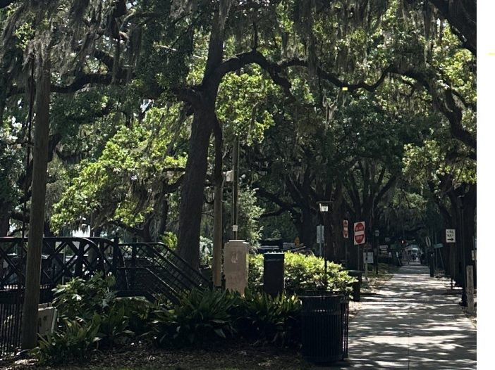 Spring Summit 2025 Reflecting Refueling and Reimagining in Savannah