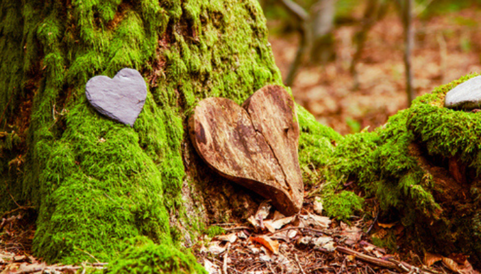 Eco-Friendly Alternatives to Traditional Burials